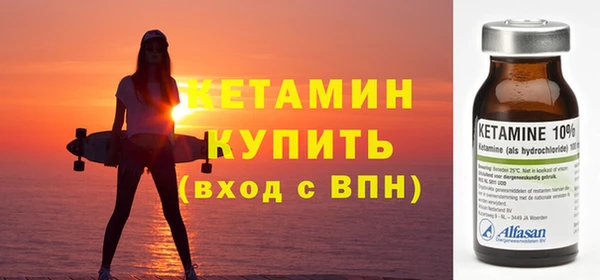 шишки Беломорск