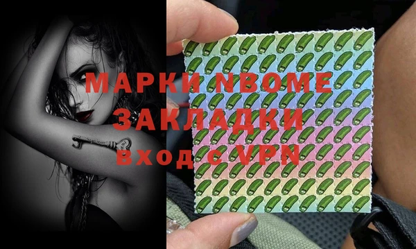 шишки Беломорск