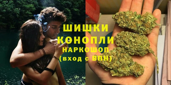 шишки Беломорск