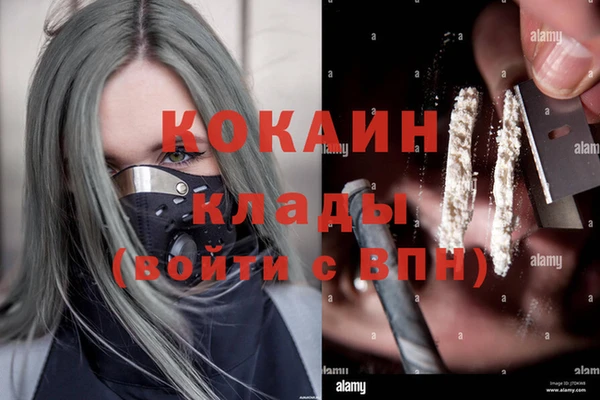 шишки Беломорск