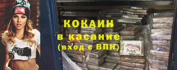 шишки Беломорск